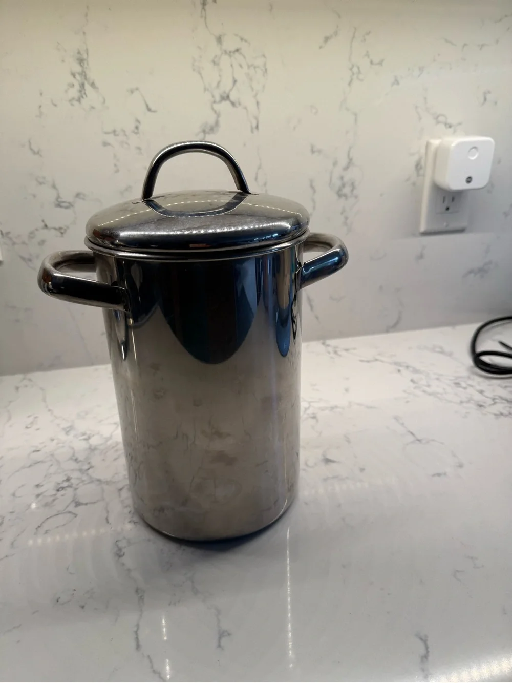 Stainless Steel Asparagus, Pasta Steamer Pot with Strainer & Lid 9” High x 6” W